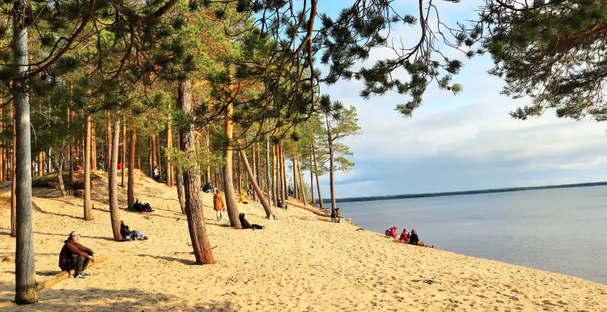Ryhmä ihmisiä kesäisellä hiekkarannalla mäntymetsässä meren äärellä.